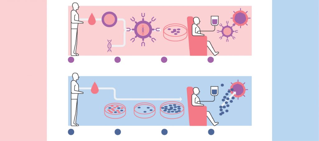 Terapias sob medida usam células do paciente para curar leucemias e linfomas graves