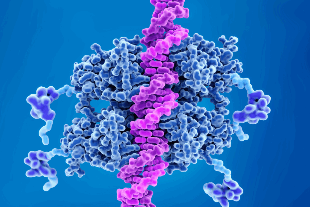 imunidade-antitumoral-celulas-car-t-ajustadas-por-afinidade-mesotelina