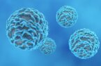 Microbiota and CAR-T therapy in myeloma