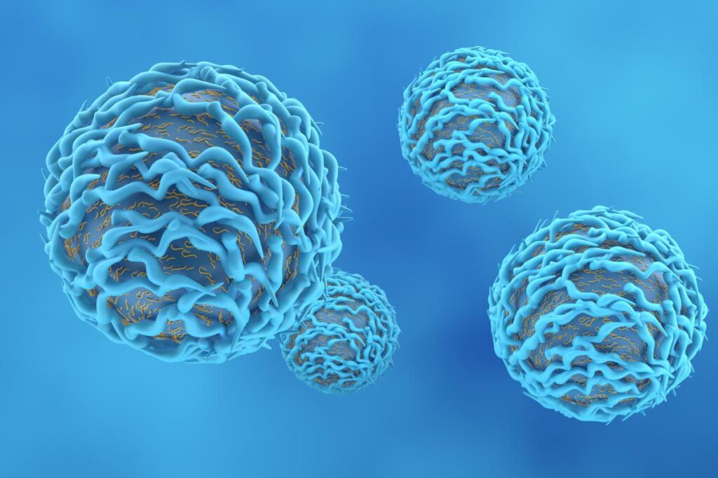 Microbiota e terapia CAR-T no mieloma